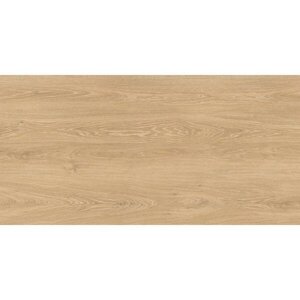 Керамограніт Almera Ceramica-2 Holly Wood PF61216AJ Wooden 60x120 см