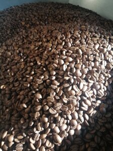 Зернова кава "бразилія сантос", арабіка 100%18скрин) 1кг