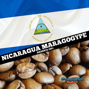 Зерновий кави "нікарагуа марагоджип", арабіка 100%еліт)