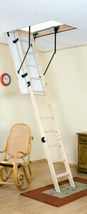 Драбіна чорнична Oman Termo S 110x60 H280