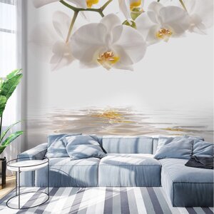 Безшовні фотошпалери квіти "Білі орхідеї"