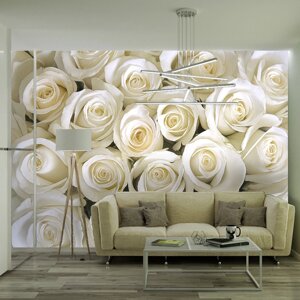 Фотошпалери квіти "Білі троянди"
