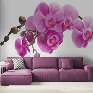 Вінілові фотобої з квітами "Роскошна орхідея"