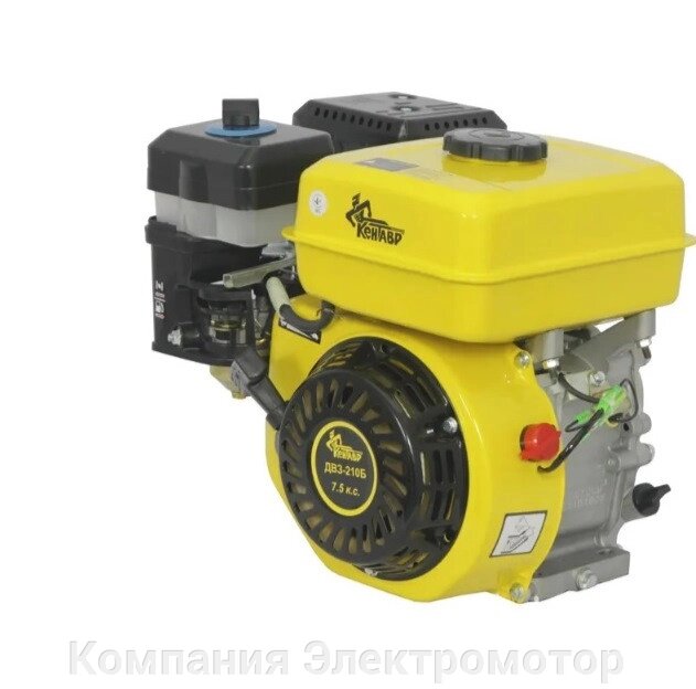 Базок двигуна Centaur DVZ-210B від компанії Компанія Єлектромотор - фото 1