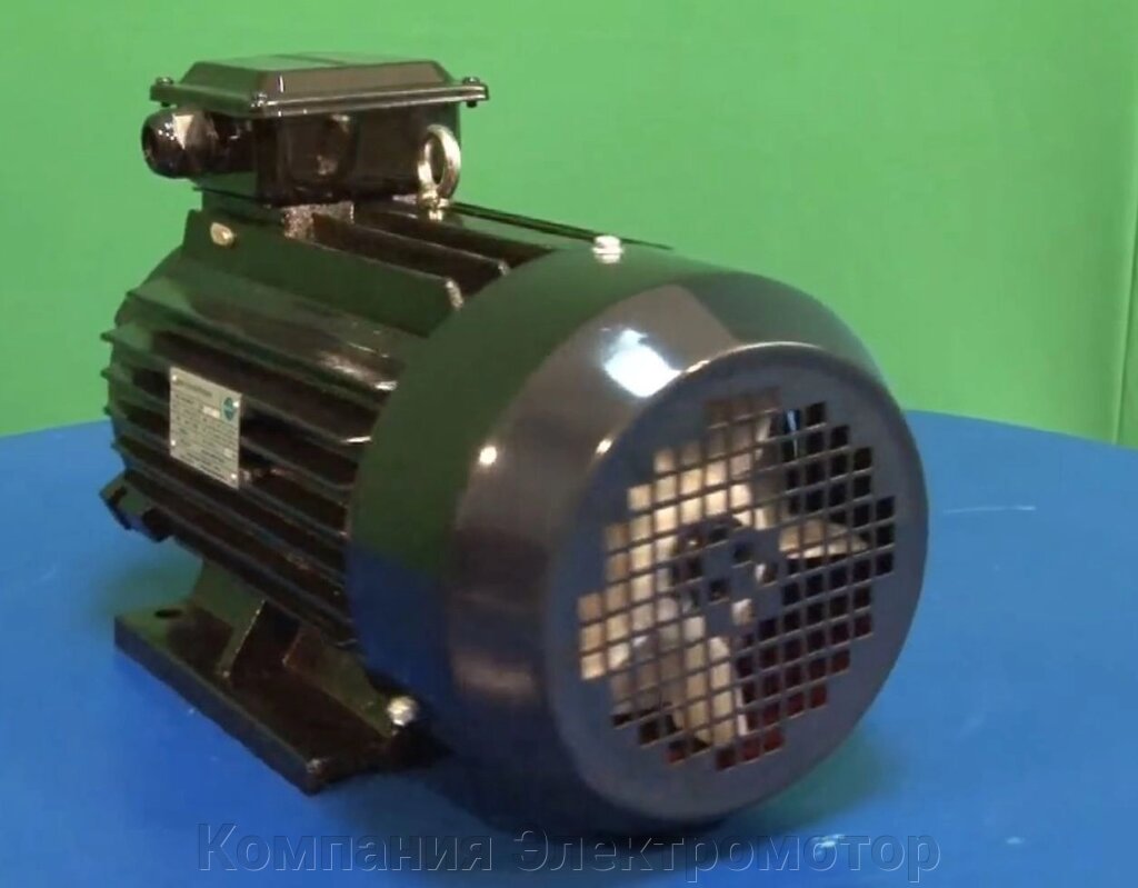 Электродвигатель АИР100 L2 (Промэлектро) від компанії Компанія Єлектромотор - фото 1