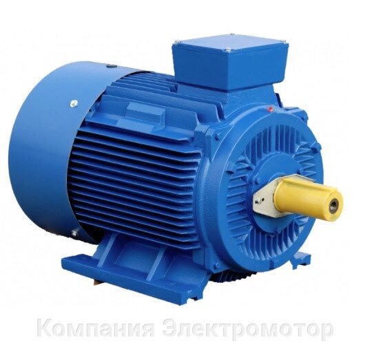 Електродвигун АІР 160 S2 15 кВт, 3000 об/хв від компанії Компанія Єлектромотор - фото 1