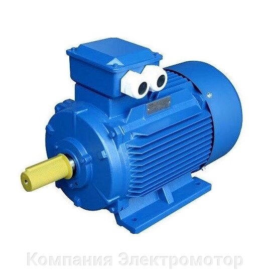 Електродвигун АІР 160 S6 11 кВт 1000 об/хв від компанії Компанія Єлектромотор - фото 1