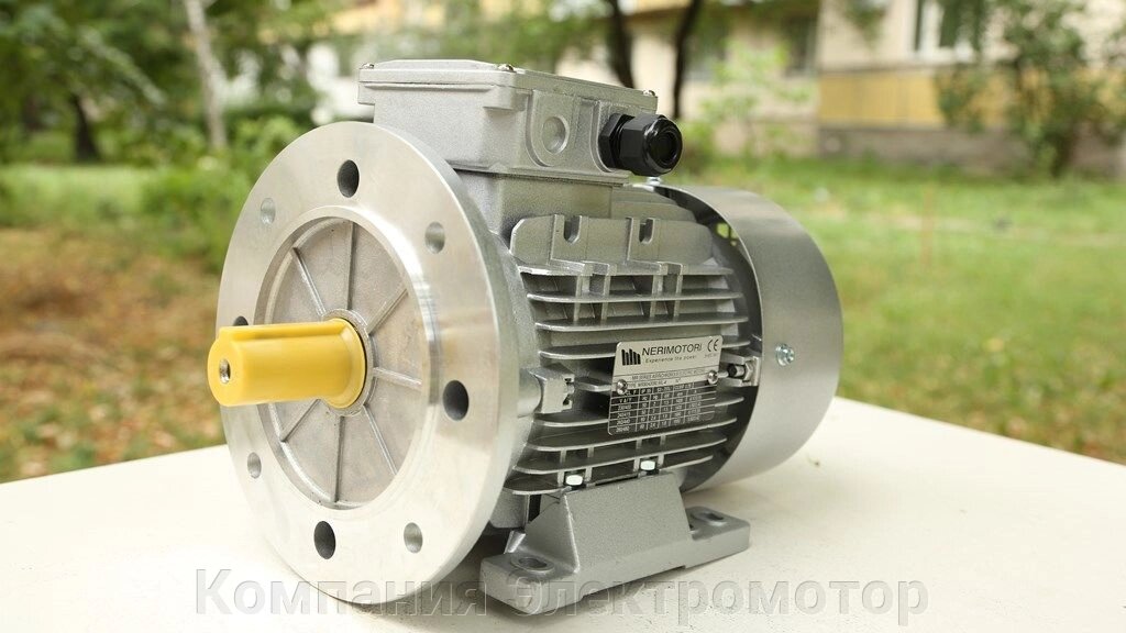 Електродвигун Neri Motory MR100L6 від компанії Компанія Єлектромотор - фото 1