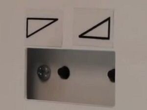 Стабилизатор напряжения Укртехнология НСН-7500 Standard HV