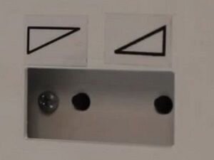 Стабилизатор напряжения Укртехнология НСН-35000 Standard HV