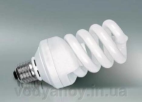 Лампа енергозберігаюча E14 11 Вт  4100К Т2 slim full Spiral Maxus 1-ESL-222-1 від компанії магазин Водяний - фото 1