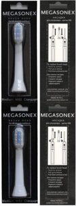 Megasonex