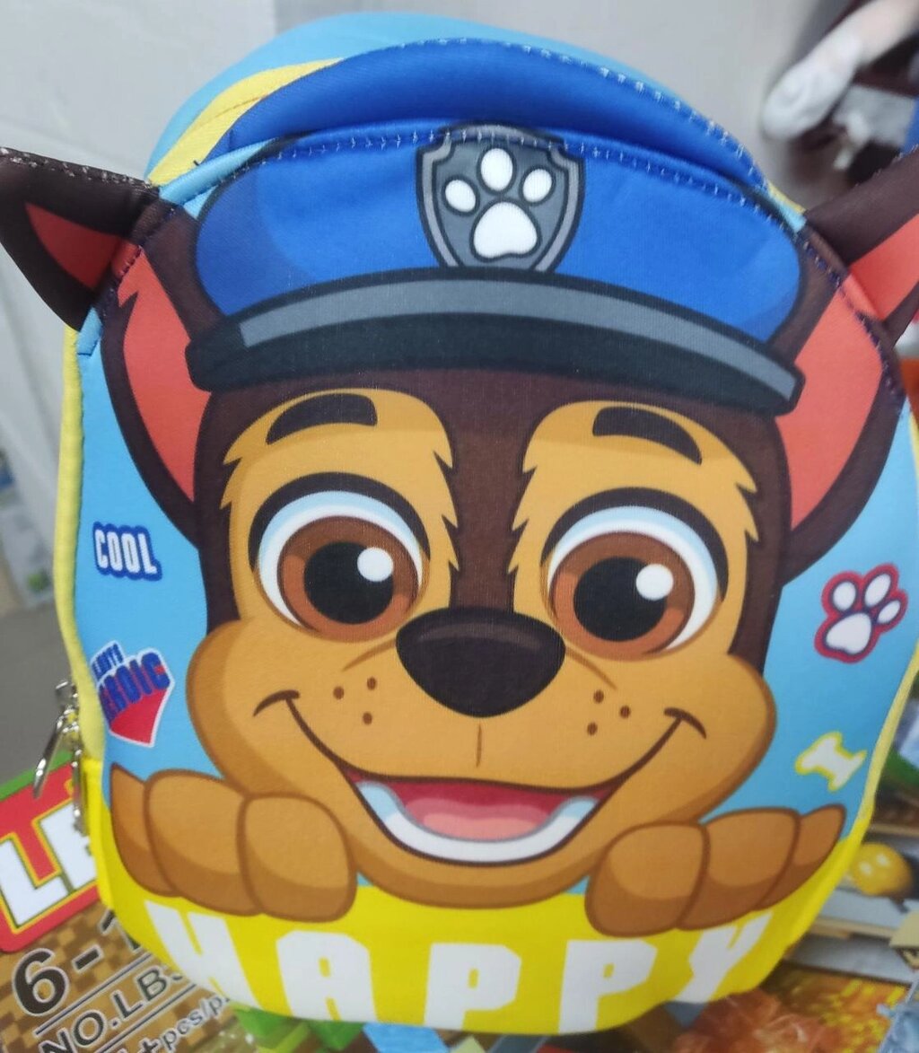 Дитячий рюкзак Paw Patrol щенячий патруль 8 р. 26*23*10 см гонщик скай від компанії Artiv - Інтернет-магазин - фото 1