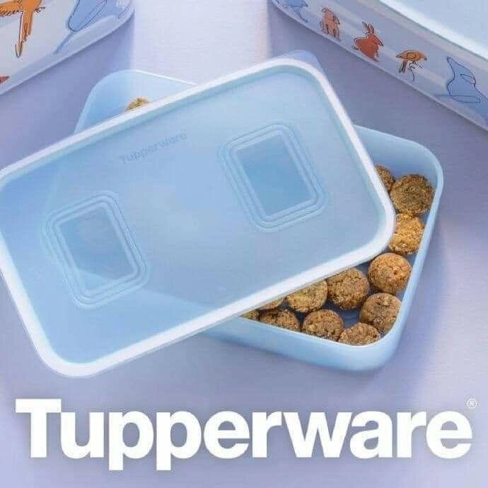 Контейнер Акваконтроль 1.1 літра Tupperware від компанії Artiv - Інтернет-магазин - фото 1