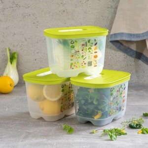 Контейнер Розумний холодильник для овочів і фруктів на 1.8 л Tup