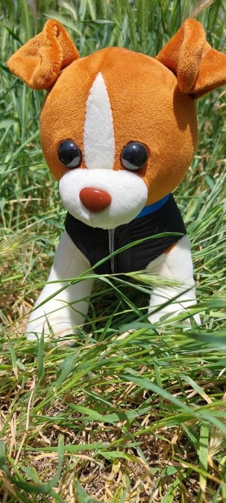 М'яка іграшка собака пес Патрон від компанії Artiv - Інтернет-магазин - фото 1