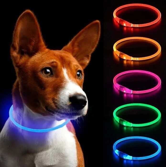 Нашийник для собак із яскравою підсвіткою, з USB-зарядкою від компанії Artiv - Інтернет-магазин - фото 1