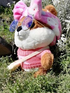 М'яка іграшка собачка ЛаЛафанфан 30см / LaLafanfan в одязі з окулярами