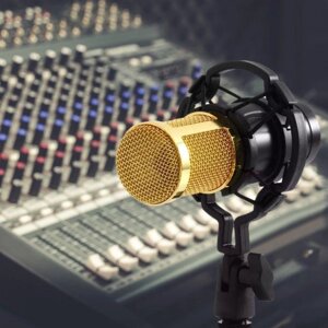 Професійний мікрофон із фільтром Music M-800 студійний