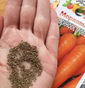 Насіння моркви Фермерський пакет 10 г