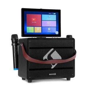 Auna Pro Karaoke System System 2 UHF-мікрофон. Із Німеччини.