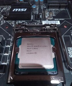 Intel e3-1230v3 (LGA 1150) (3500)