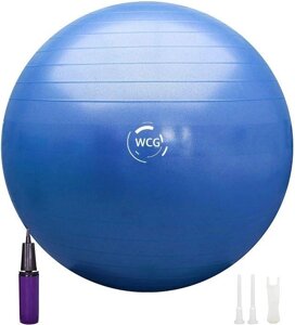 М'яч для фітнесу (фітбол) WCG 55 Anti-Burst 300кг Блакитний + насос