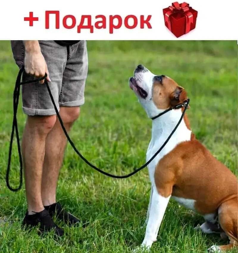Поводок удавка для дресирування собак нашийник контролер 3 метра від компанії Artiv - Інтернет-магазин - фото 1