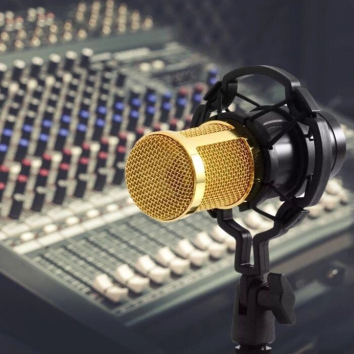 Професійний мікрофон із фільтром Music M-800 студійний від компанії Artiv - Інтернет-магазин - фото 1