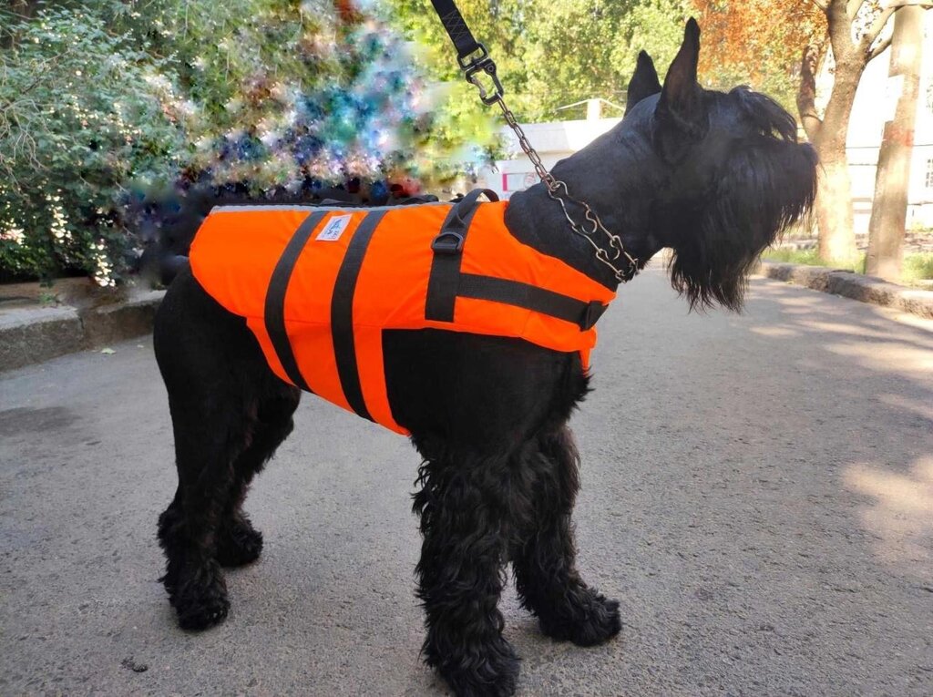 Рятувальний рятувальний жилет для собаки від компанії Artiv - Інтернет-магазин - фото 1