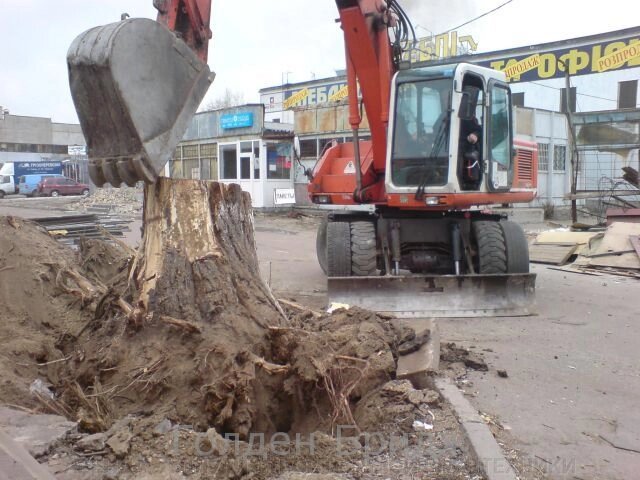 Корчування пнів - особливості