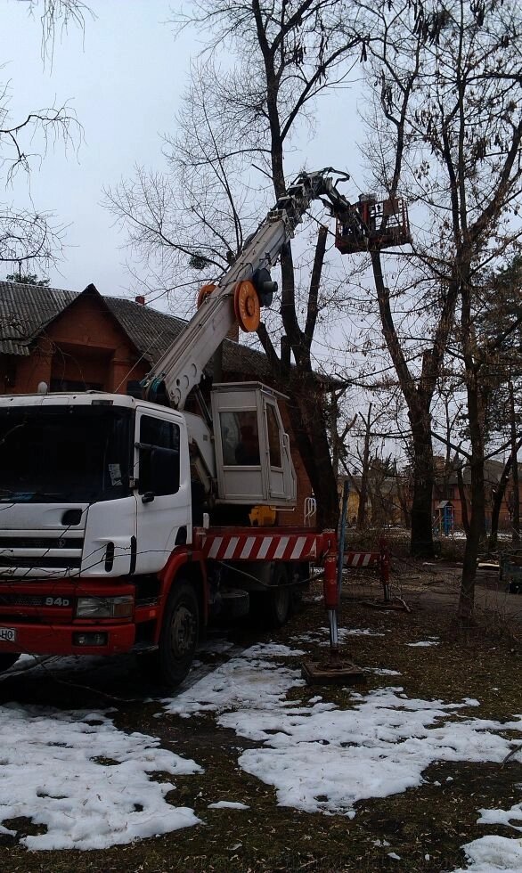Обрізка дерев за допомогою автовишки Київ - інтернет магазин