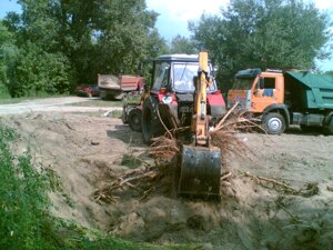 Прибирання сухого листя, гілок, корчування пнів, вивезення сміття