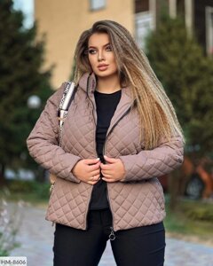 Куртка-піджак жіноча коротка стьобана модна стильна на синтепоні весна-осінь великих розмірів 50-54