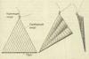 Косинка рибальська, косинка рибальська обладнана 1,2 х 1,2 х 1,2, клітини з 18-50