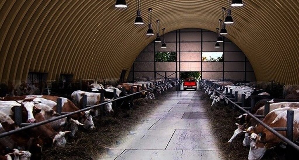 Покриття гумове для корівників від компанії Група компаній Агро Бизнес Технологии - фото 1
