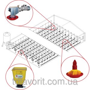 Лінії годування для підлогового бройлера (індика, качки) CODAF