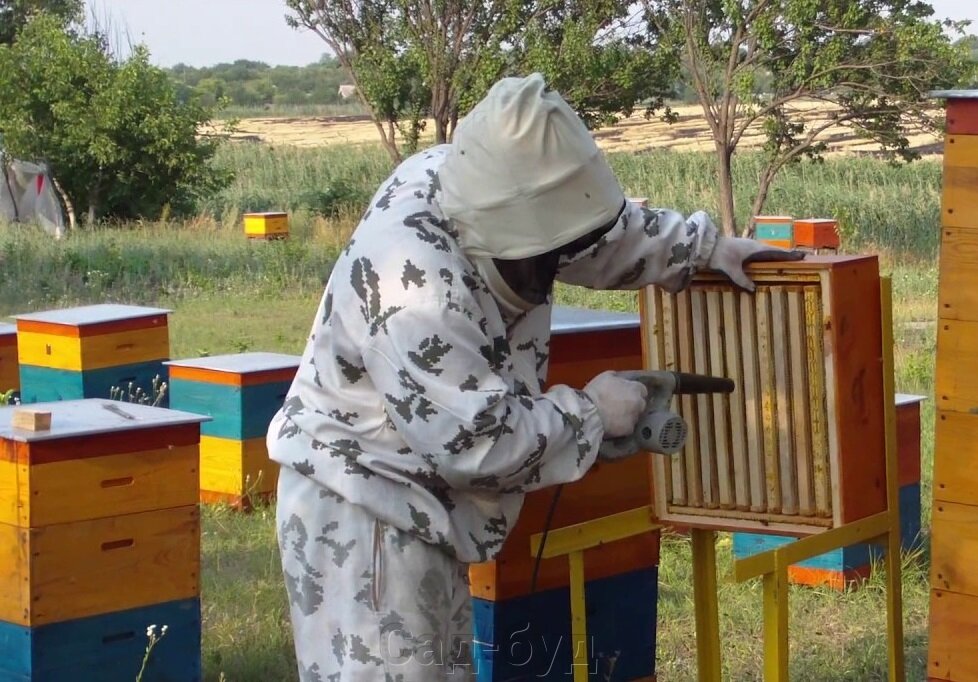 Повітродувка для видування бджіл — зручність і ефективність під час відбору меду - фото pic_104b98742361948f7377f0b59608ce13_1920x9000_1.jpg