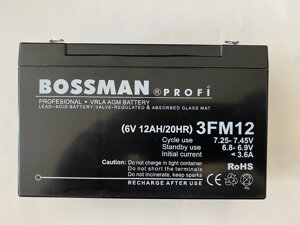 Акумулятор для дитячих електромобілів Bossman-Profi 3FM12