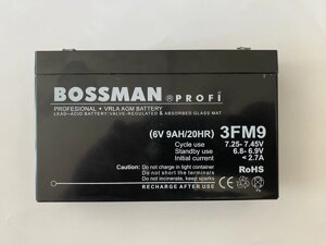 Аккум. для детских эл. мобилей Bossman-Profi 3FM9