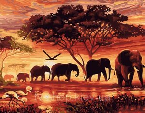 Картина по номерам "Африка" , Strateg, 50 x 40 см