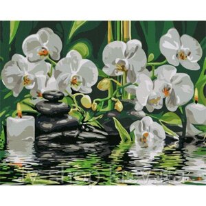 Картина по номерах спокійність біля орхідей,50x40 см