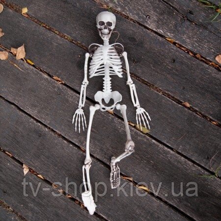 Скелет людини 100 см декор від компанії ІНТЕРНЕТ МАГАЗИН * ТВ-ШОП * - фото 1