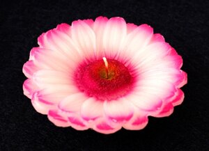 Свічка - Фіолетова хризантема квітка