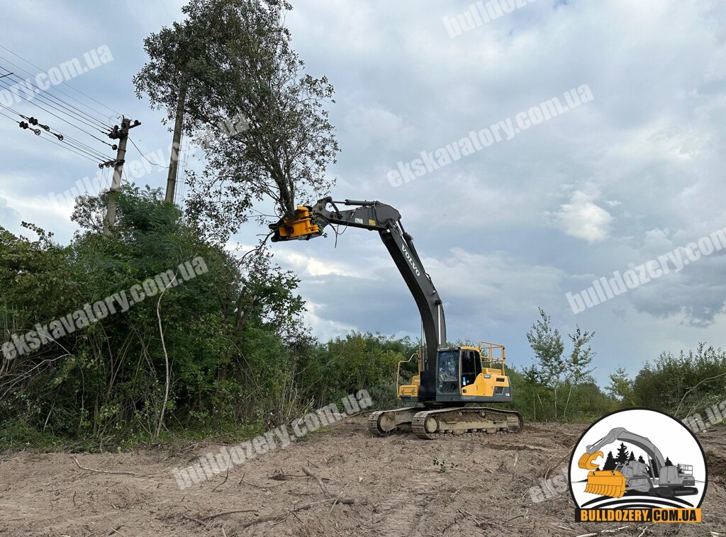 Корчування дерев, пнів, садів екскаватором від компанії ПП Матвєєв - фото 1
