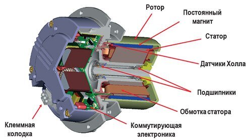 pic_6ea09633d9c5f491a9a4325ce27345e7_1920x9000_1.jpg