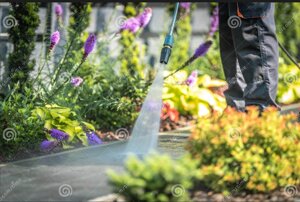 ДАЧА САД ГОРОД