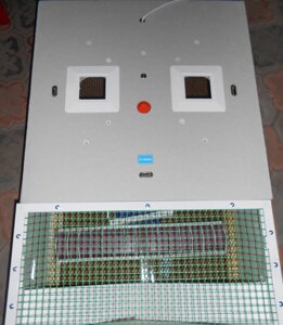 Брудер-інкубатор Курочка Ряба автомат. у корпусі брудера