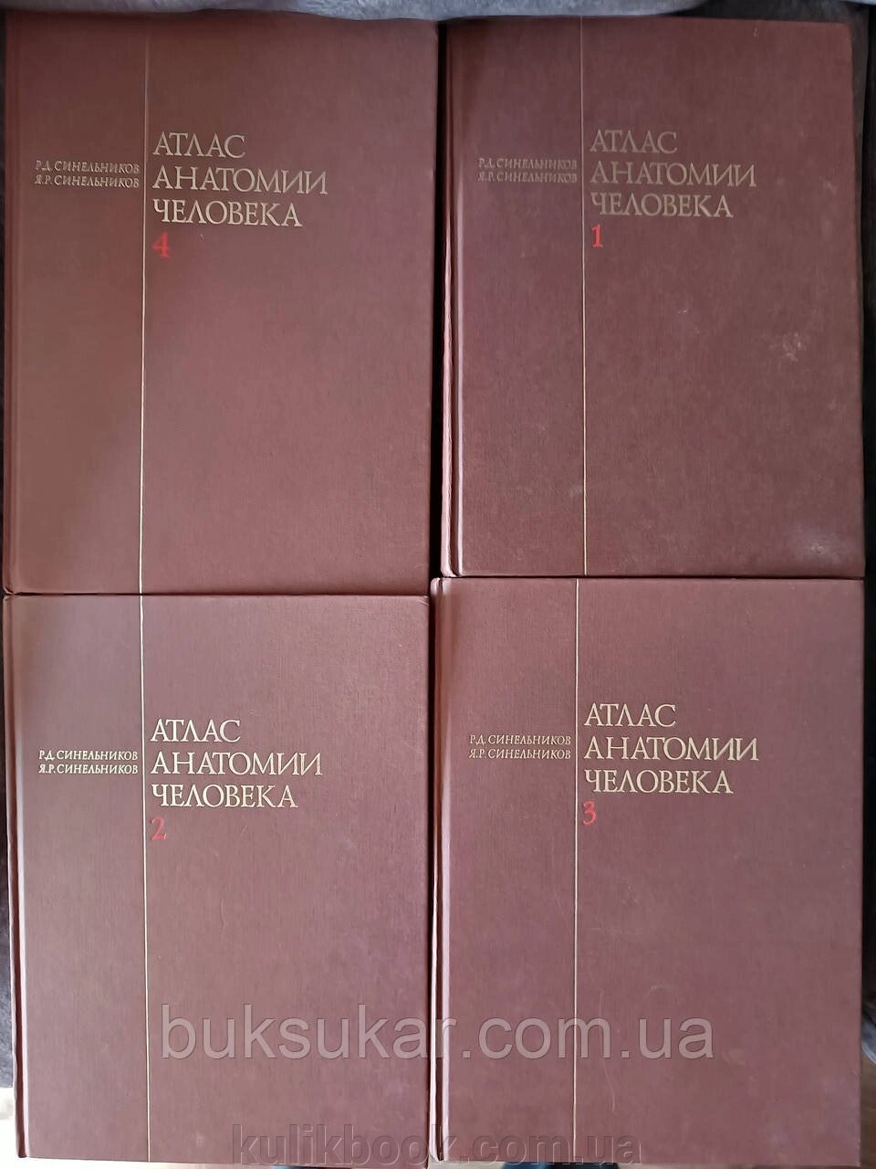 Атлас анатомії людини Синельников 4 томи від компанії Буксукар - фото 1