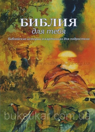 Біблія для тебе. Біблейні історії в картинках для підлітків. від компанії Буксукар - фото 1